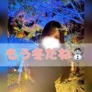 ヒメ日記 2025/11/26 07:00 投稿 みやび コートダジュール