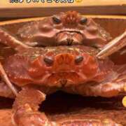 ヒメ日記 2026/01/08 21:00 投稿 みやび コートダジュール