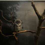 ヒメ日記 2025/05/20 17:29 投稿 みゆ 池袋人妻アデージョ