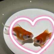 ヒメ日記 2025/09/22 22:49 投稿 みゆ 池袋人妻アデージョ