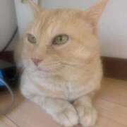 ヒメ日記 2025/09/25 16:49 投稿 みゆ 池袋人妻アデージョ