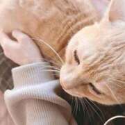 ヒメ日記 2025/11/09 09:49 投稿 みゆ 池袋人妻アデージョ