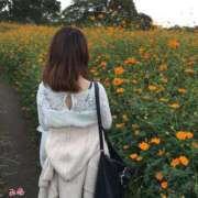 ヒメ日記 2025/11/10 20:19 投稿 みゆ 池袋人妻アデージョ