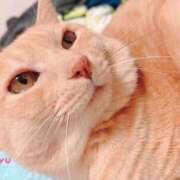 ヒメ日記 2025/11/20 22:19 投稿 みゆ 池袋人妻アデージョ