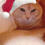 ヒメ日記 2025/12/25 07:39 投稿 みゆ 池袋人妻アデージョ