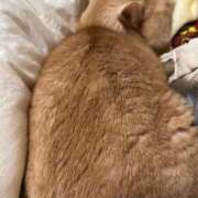 ヒメ日記 2026/03/04 20:39 投稿 みゆ 池袋人妻アデージョ