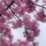 ヒメ日記 2026/03/05 09:03 投稿 みゆ 池袋人妻アデージョ