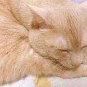 ヒメ日記 2026/04/20 07:49 投稿 みゆ 池袋人妻アデージョ