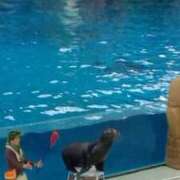 ヒメ日記 2025/04/01 20:35 投稿 こはる先生 女教師