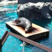 ヒメ日記 2025/04/25 19:55 投稿 こはる先生 女教師