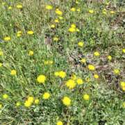 こはる先生 こんばんは♪ 女教師