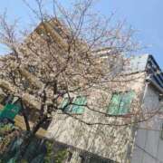 ヒメ日記 2025/03/27 15:05 投稿 もも 千葉泡洗体デラックスエステ