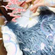 ヒメ日記 2025/01/21 12:03 投稿 赤坂るり(あかさかるり) 東京ヒストリー　秘密の約束