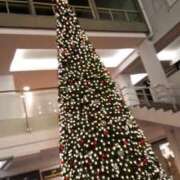 ヒメ日記 2024/12/24 02:02 投稿 大川らん ぽっちゃりレボリューション