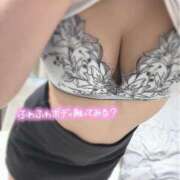 ひびき 4日目スタート📢🙌🏼 BLUE BIRD (ブルーバード) 上越