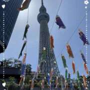 せいら せいらです！🦊 池袋あられ