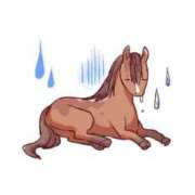 ヒメ日記 2024/12/21 12:30 投稿 ゆらら 金瓶梅(きんぺいぱい)(雄琴)