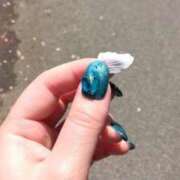 ヒメ日記 2025/04/14 10:52 投稿 いのり マリン千葉店