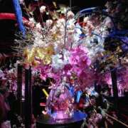 ヒメ日記 2025/05/02 13:02 投稿 いのり マリン千葉店