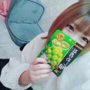 ヒメ日記 2025/12/10 10:42 投稿 いのり マリン千葉店