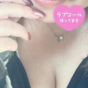 ヒメ日記 2024/12/10 17:31 投稿 なづな 静岡駅前ちゃんこ