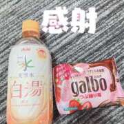 ヒメ日記 2024/12/12 00:58 投稿 なづな 静岡駅前ちゃんこ