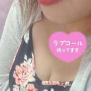 ヒメ日記 2024/12/12 19:08 投稿 なづな 静岡駅前ちゃんこ