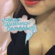 ヒメ日記 2024/12/29 23:28 投稿 なづな 静岡駅前ちゃんこ