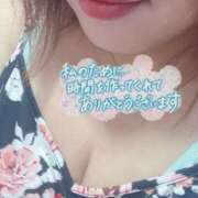 ヒメ日記 2024/12/30 07:58 投稿 なづな 静岡駅前ちゃんこ