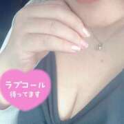 ヒメ日記 2025/03/27 17:08 投稿 なづな 静岡駅前ちゃんこ