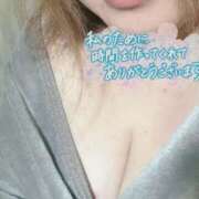 ヒメ日記 2025/03/28 03:10 投稿 なづな 静岡駅前ちゃんこ