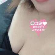 ヒメ日記 2025/04/24 19:15 投稿 なづな 静岡駅前ちゃんこ