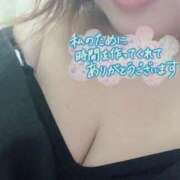 ヒメ日記 2025/04/28 09:50 投稿 なづな 静岡駅前ちゃんこ