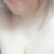 ヒメ日記 2025/04/28 12:28 投稿 なづな 静岡駅前ちゃんこ