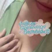 ヒメ日記 2025/07/05 04:28 投稿 なづな 静岡駅前ちゃんこ