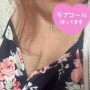 ヒメ日記 2025/07/07 01:50 投稿 なづな 静岡駅前ちゃんこ