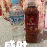 ヒメ日記 2025/07/11 03:48 投稿 なづな 静岡駅前ちゃんこ