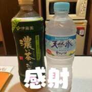 ヒメ日記 2025/09/16 23:58 投稿 なづな 静岡駅前ちゃんこ