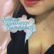 ヒメ日記 2025/09/23 11:38 投稿 なづな 静岡駅前ちゃんこ