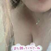 ヒメ日記 2025/09/26 10:28 投稿 なづな 静岡駅前ちゃんこ