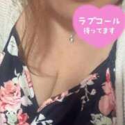 ヒメ日記 2025/09/27 17:38 投稿 なづな 静岡駅前ちゃんこ