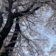 ヒメ日記 2025/04/17 12:47 投稿 小町／こまち 大宮人妻セレブリティ（ユメオト）