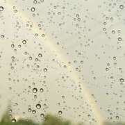 ヒメ日記 2025/06/30 16:57 投稿 小町／こまち 大宮人妻セレブリティ（ユメオト）