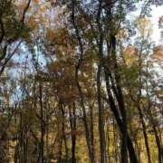 小町／こまち 今日出勤します🍁 大宮人妻セレブリティ（ユメオト）