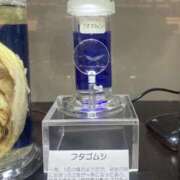 ヒメ日記 2026/03/08 17:12 投稿 小町／こまち 大宮人妻セレブリティ（ユメオト）