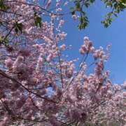 ヒメ日記 2026/03/29 20:41 投稿 小町／こまち 大宮人妻セレブリティ（ユメオト）