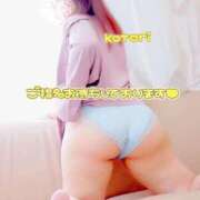 ヒメ日記 2024/12/19 12:55 投稿 ことり 市原五井蘇我ちゃんこ