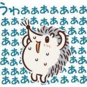 ヒメ日記 2025/01/15 23:16 投稿 岡崎 熟女の風俗最終章 新横浜店