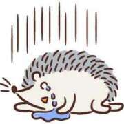 ヒメ日記 2025/06/01 18:50 投稿 岡崎 熟女の風俗最終章 新横浜店