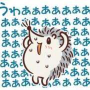 ヒメ日記 2025/06/17 21:26 投稿 岡崎 熟女の風俗最終章 新横浜店